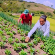 Evento este ano discutirá as políticas de desenvolvimento territorial e a promoção da agricultura familiar.
