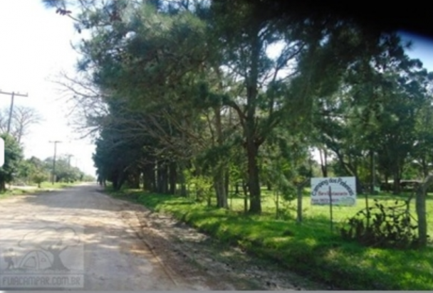 Camping dos Pinherais - Tapes