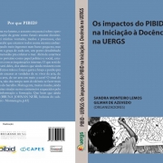 Livro reúne artigos que abordam questões relacionadas à inserção do Pibid na Iniciação à Docência e seus impactos. 