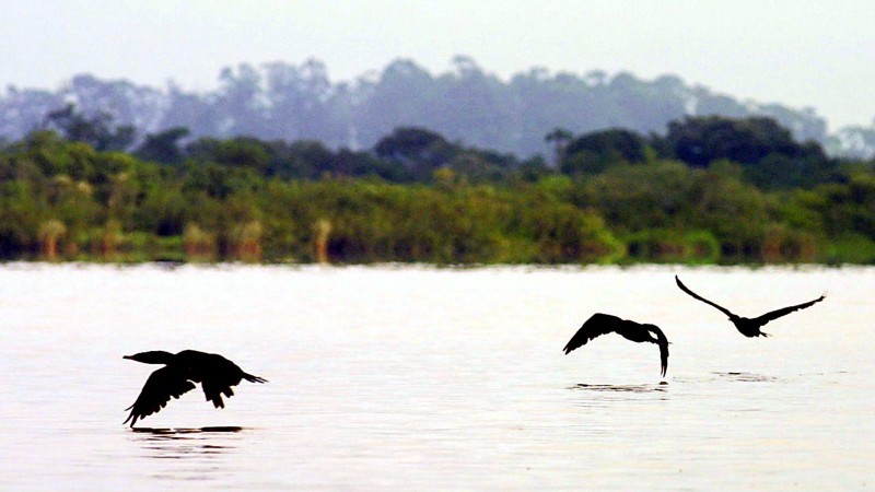 Delta do Jacuí
