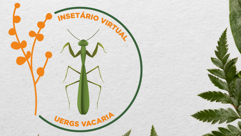 Imagem de fundo claro, com folhas verdes nos cantos. Na parte esquerda, logotipo formado por um louva-a-deus verde dentro de uma elipse laranja com detalhes que lembram um ramo com folhas à esquerda e com o texto "Insetário Virtual - Uergs Vacaria".
