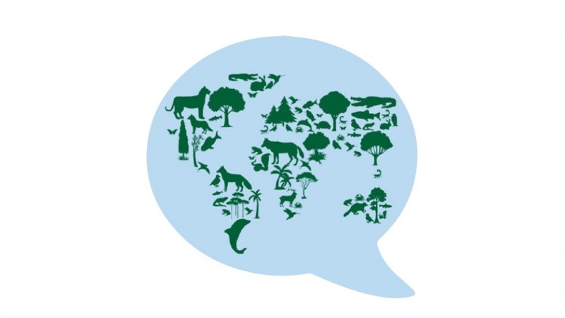 Balão de fala azul com imagens de animais e árvores em verde que formam os desenhos de áreas de alguns continentes.