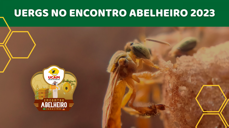 Nome do evento sobre fundo verde. Abaixo, fundo marrom e foto em destaue de uma abelha jataí.