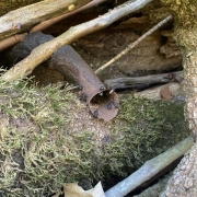 Tabuna Campo