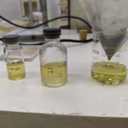 Produção de Microalgas para produção de biocombustíveis9