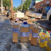 Sabão POA